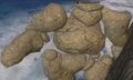 A tidewalker goliath.jpg