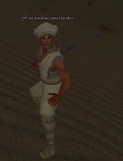 An Amal'an camel herder