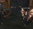 Importer Targin