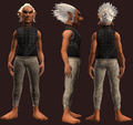 Animist's Hauberk of the Citadel (Equipped).png