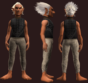 Animist's Hauberk of the Citadel (Equipped)