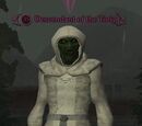 Descendant of the Torig