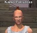 Kaeso Polluvius