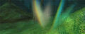 A Light in the Forest.jpg