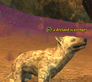 A dryland scavenger