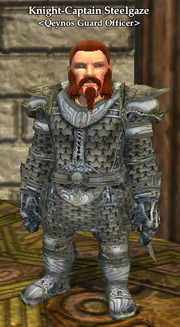 Knight-Captain Steelgaze