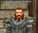 Knight-Captain Steelgaze