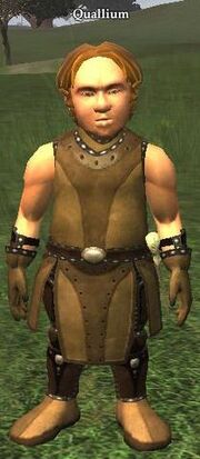 Quallium