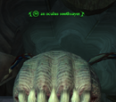 An oculus soothsayer