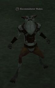 Reconnoiterer Malox