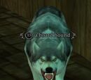 A hoard hound
