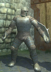 Carbonite Plate Armor, Equipped