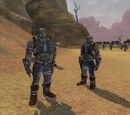 The Rise of the Orcs