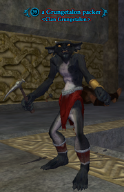 A Grungetalon packer