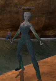 A radiant selkie