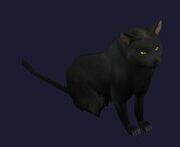 A thexian black cat (Visible)