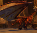 Dozekar the Cursed (Heroic)
