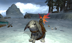 EQ2 000132