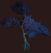 Indigo Vesspyr Willow (Placed)