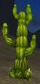 Race succulent.jpg
