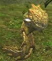Race catoplebas.jpg
