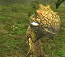 A fauna stalker