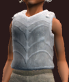 Apostle's Ordained Plate Cuirass (Equipped).png