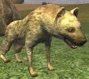 A carrion hound