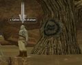 A Tallon high shaman.jpg