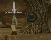 A Tallon high shaman