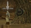 A Tallon high shaman