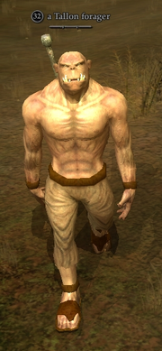 A Tallon forager