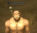 A Tallon forager