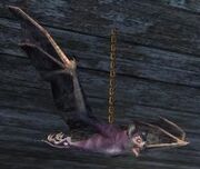 A chained bat (Visible)
