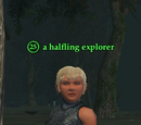 A halfling explorer