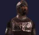 Harmonious Blood Mail (Armor Set)