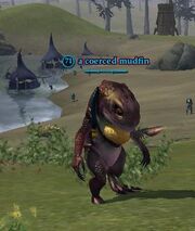 A coerced mudfin