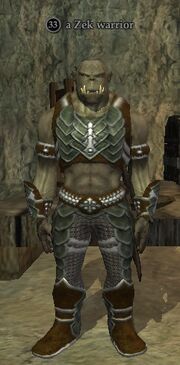 A Zek warrior