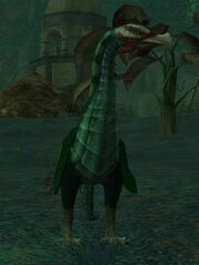 An emerald stonegazer