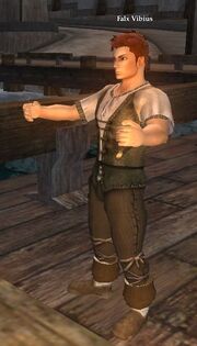 Falx Vibius
