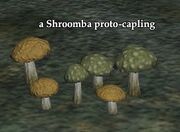 Shroomba proto-capling