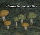 Shroomba proto-capling