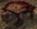 Turtle plushie (Visible).jpg
