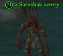 A Sarnshak sentry