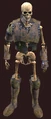 Nights of the Dead Undying Warrior Costume (Equipped).png