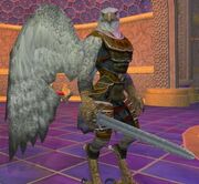 Race aviak