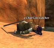 A Char'Gin watcher
