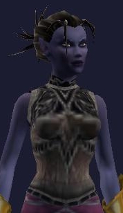 Kithicor's Nighthunter Chestguard (Visible)
