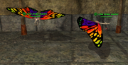 Fae Drake (Wizard) Placed