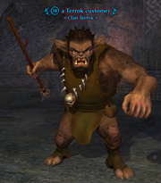 A Terrok customer